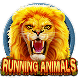 RTP CQ9 solidplay99