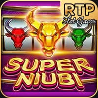 RTP jdb solidplay99